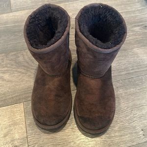 Chocolate Brown Uggs